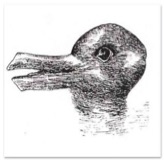 a drawing of the famous rabbit-duck illusion